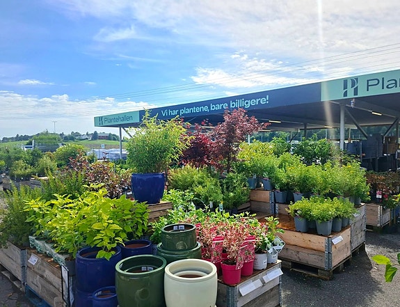 Bilde 1 av 5 i jobbannonse-galleriet