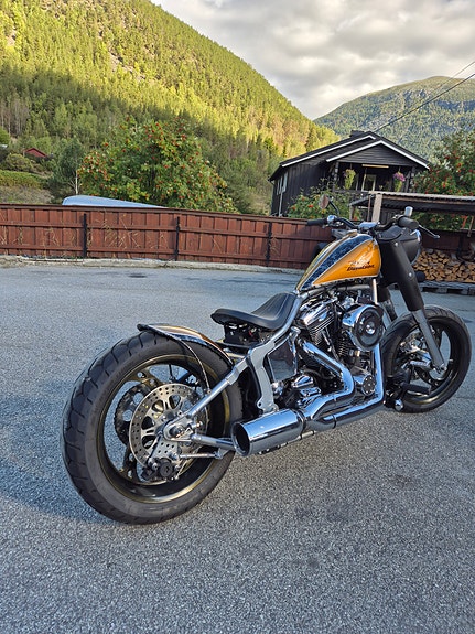 Harley-Davidson FXST Softail Standard / Custom