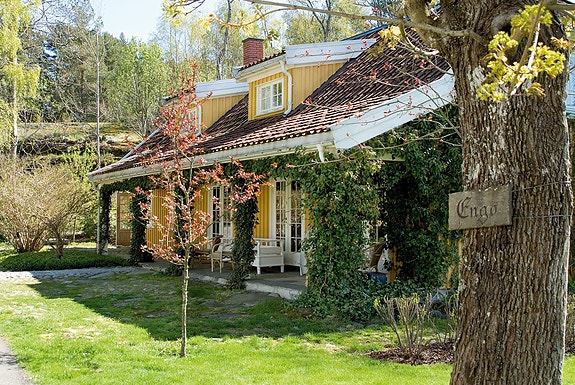 Bilde fra arbeidsgiver