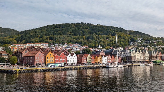 Bilde 2 av 2 i jobbannonse-galleriet