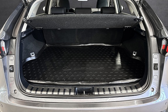 Lexus NX300h 17 of 21