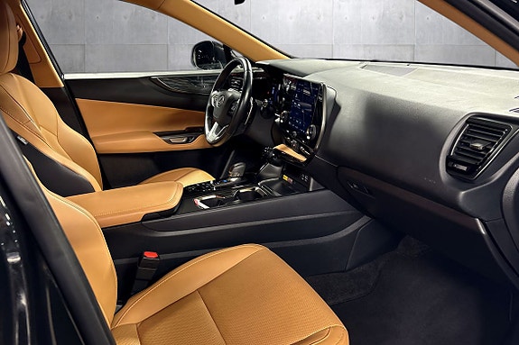 Lexus NX450h 15 of 25
