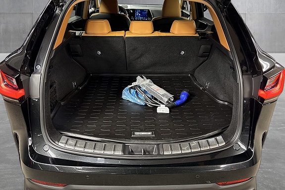 Lexus NX450h 18 of 25