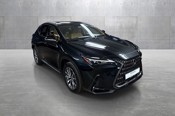 Lexus NX450h 7 of 25