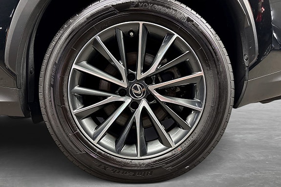 Lexus NX450h 19 of 25