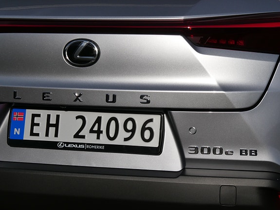 Lexus UX300e 4 of 6