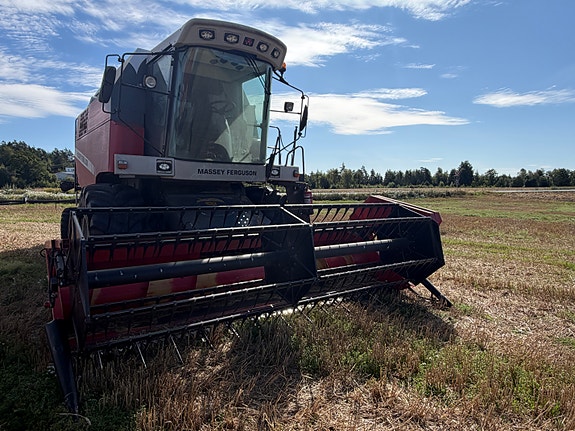 Massey Ferguson C8 3 of 17
