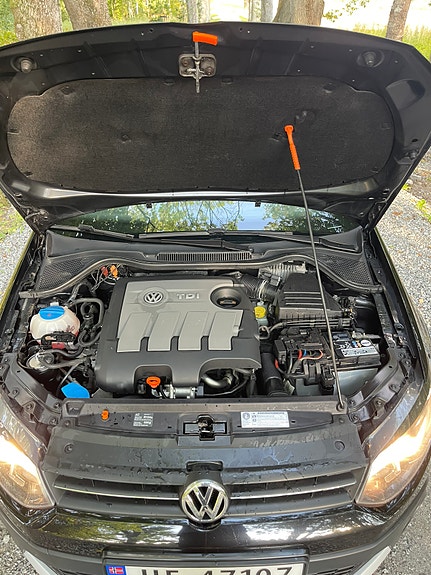 Volkswagen Polo Cross 27 of 30