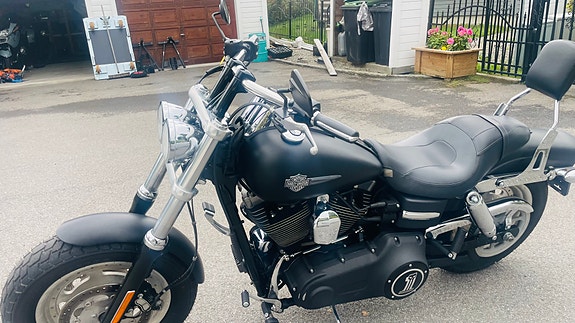 Harley-Davidson Fat Bob FXDF 27 of 30
