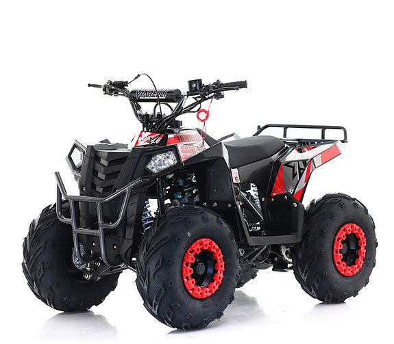 Viarelli Hunter 110cc 4 of 6