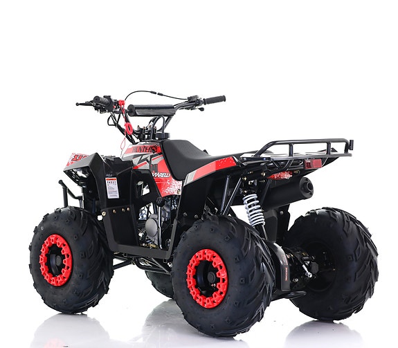 Viarelli Hunter 110cc 6 of 6