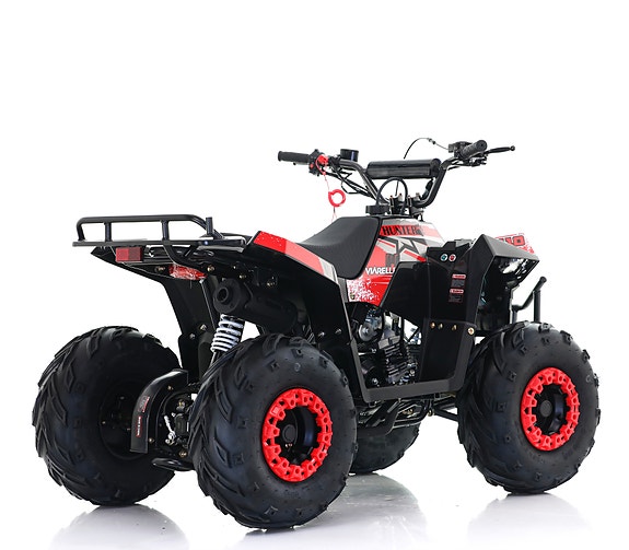 Viarelli Hunter 110cc 3 of 6