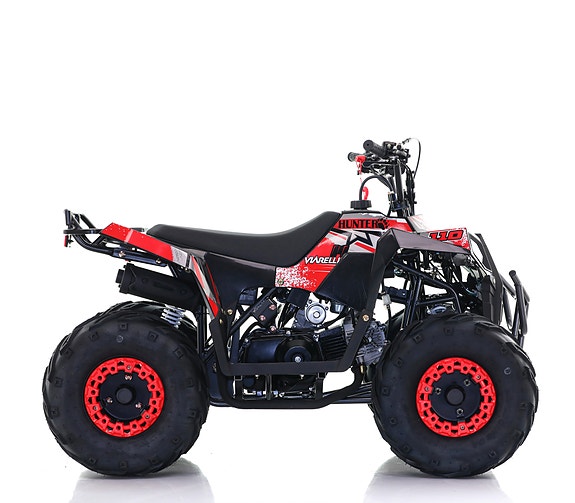 Viarelli Hunter 110cc 2 of 6