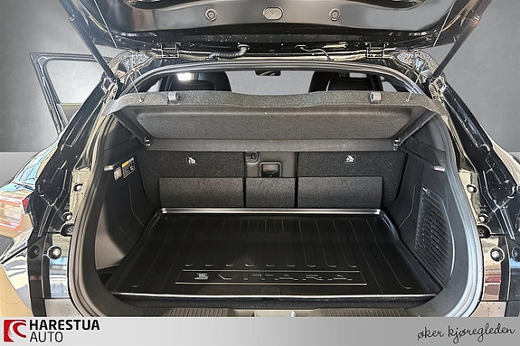 Suzuki eVitara 17 of 17