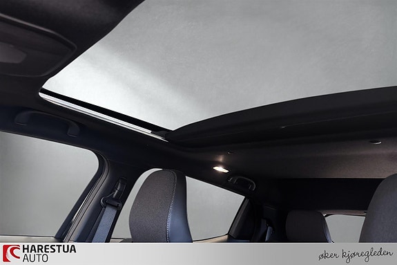 Suzuki eVitara 14 of 17