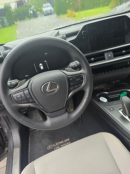 Lexus UX300e 6 of 7