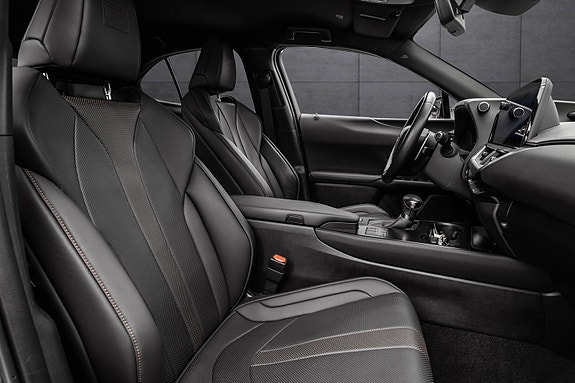 Lexus UX250h 28 of 30