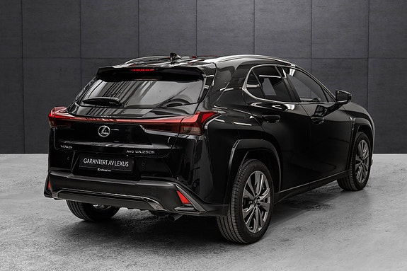 Lexus UX250h 8 of 30