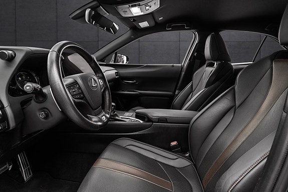 Lexus UX250h 11 of 30