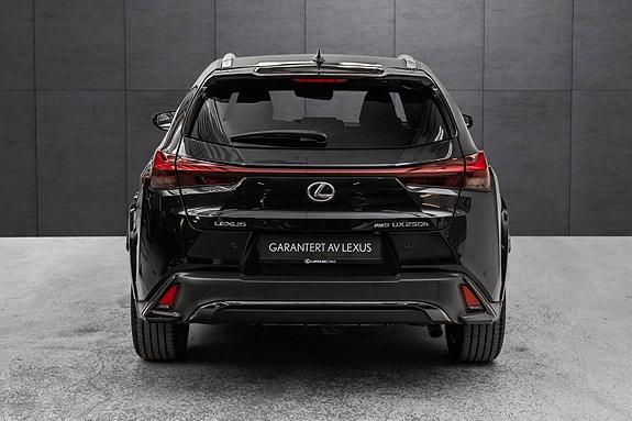 Lexus UX250h 6 of 30