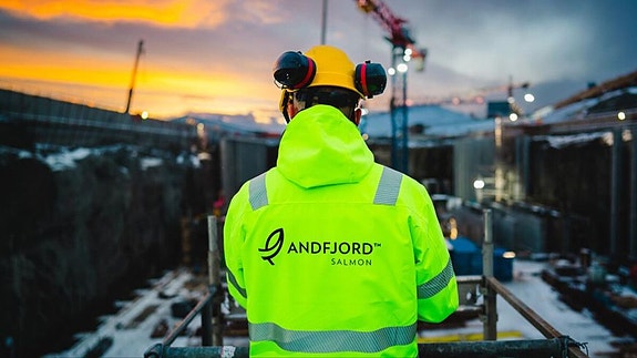 Bilde 1 av 4 i jobbannonse-galleriet