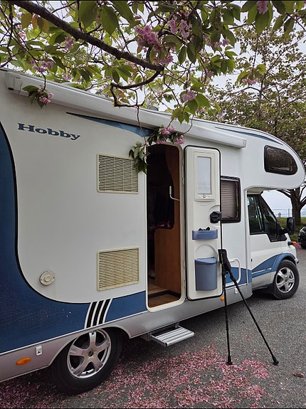 Ford Transit 14 of 16