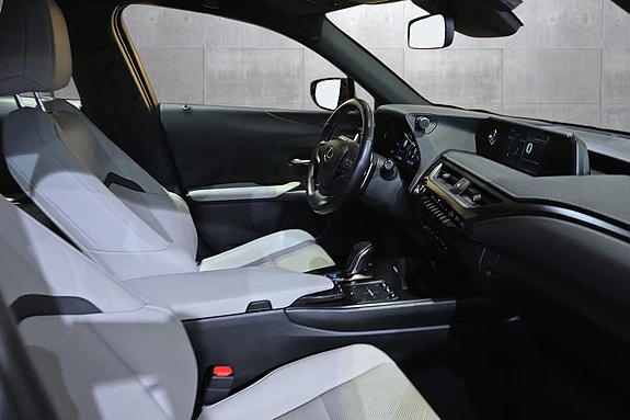 Lexus UX300e 15 of 20