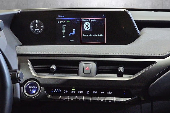 Lexus UX300e 13 of 20