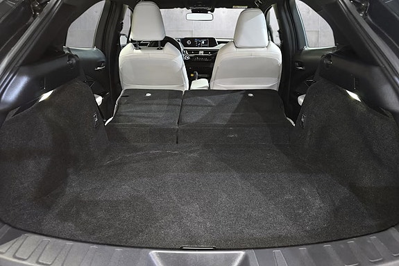 Lexus UX300e 17 of 20