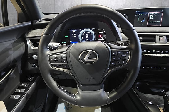Lexus UX300e 12 of 20