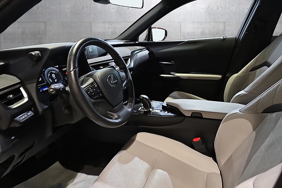 Lexus UX300e 11 of 20