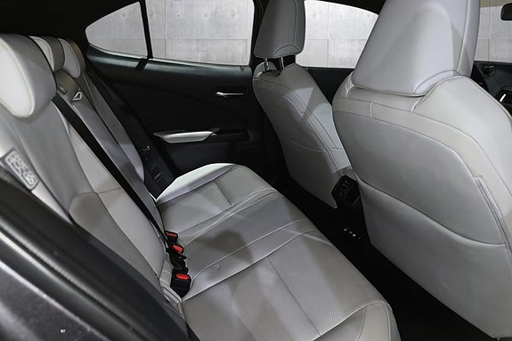 Lexus UX300e 18 of 20