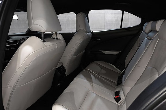 Lexus UX300e 16 of 20