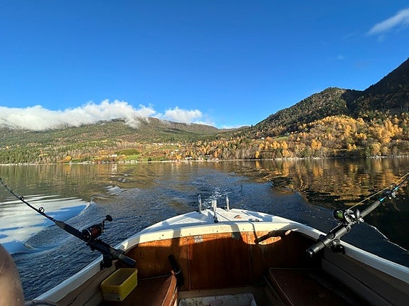 Fjord Lady Diana 19 fot snekke 16 of 17