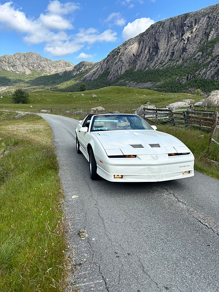 Pontiac Trans Am 6 of 20