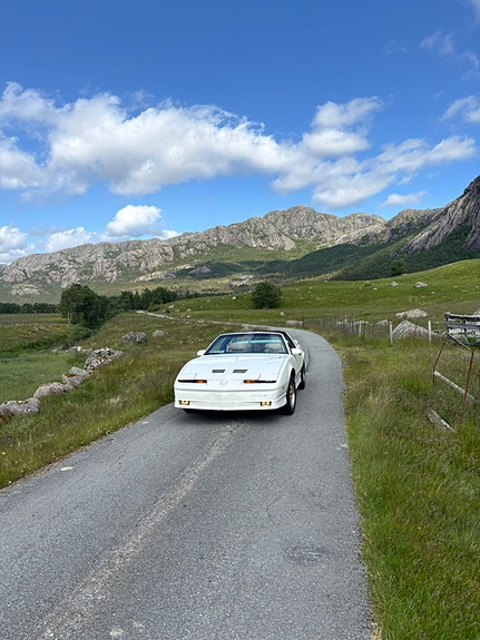 Pontiac Trans Am 2 of 20