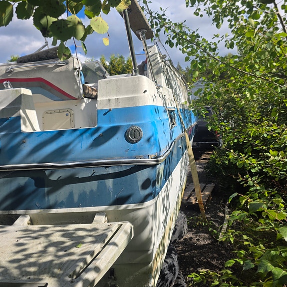 24 fot bayliner v8 4 of 8