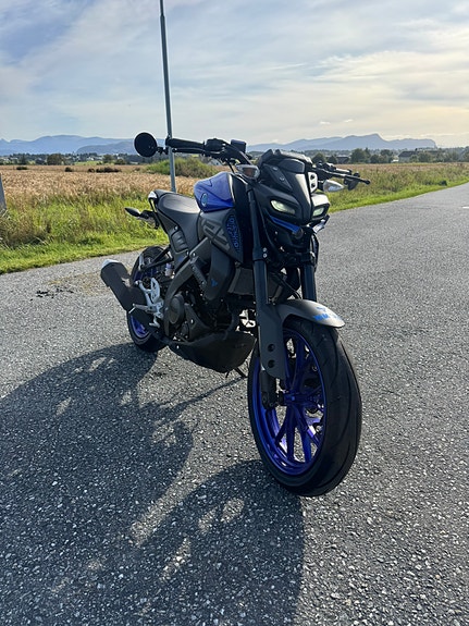 Yamaha MT-125 6 of 6
