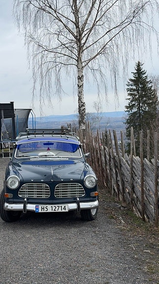 Volvo Amazon 7 of 14