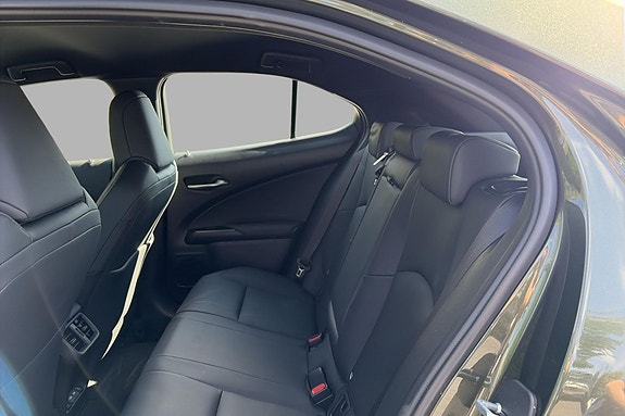 Lexus UX300e 19 of 22