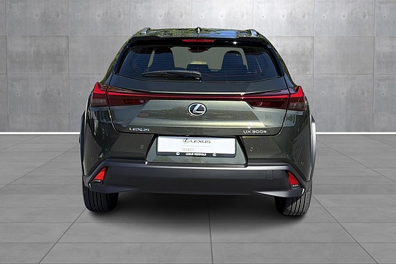 Lexus UX300e 6 of 22