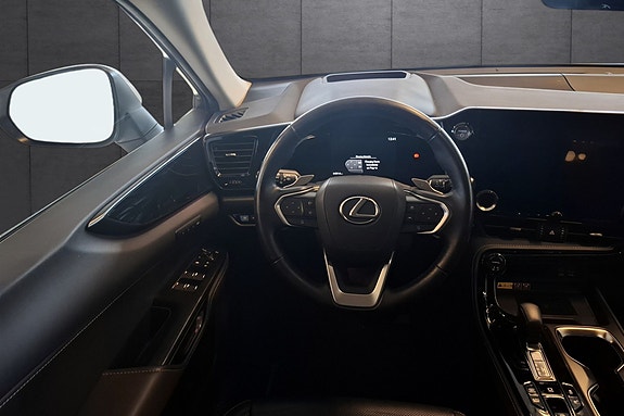Lexus NX450h 13 of 22