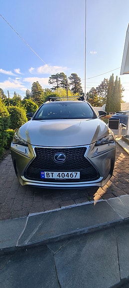 Lexus NX300h 6 of 21