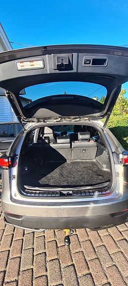 Lexus NX300h 7 of 21