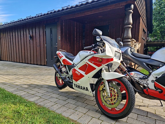 Aprilia RS 250 Racing Nero Diablo 12 of 23