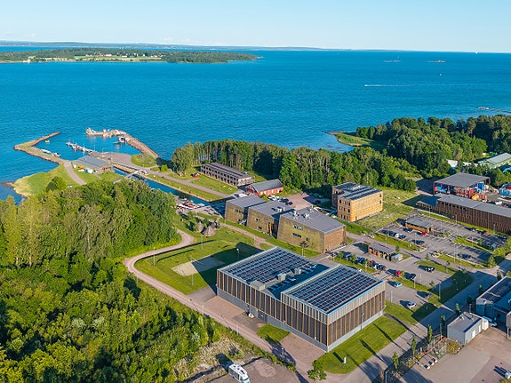 Bilde fra arbeidsgiver