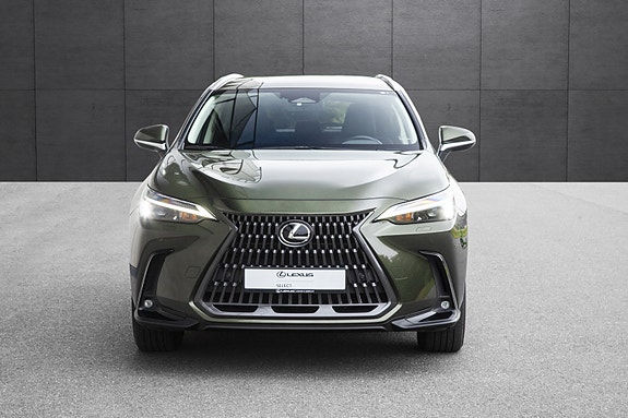 Lexus NX450h 6 of 19