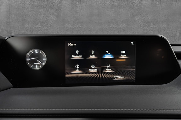 Lexus UX250h 29 of 30