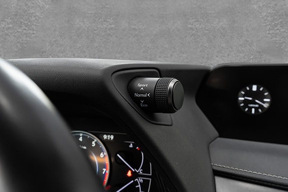 Lexus UX250h 19 of 30