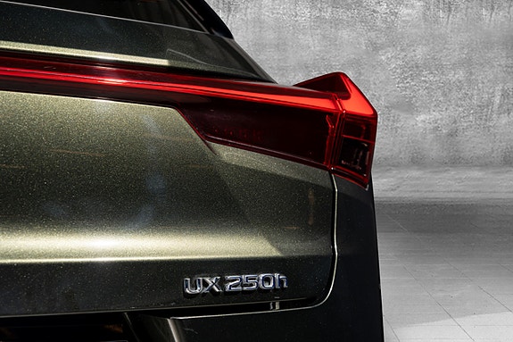 Lexus UX250h 9 of 30